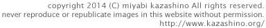 copyright